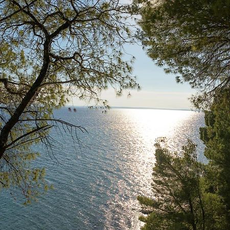 Squirrel Beach Front Villa, Metamorfosi Εξωτερικό φωτογραφία